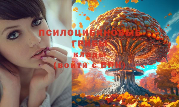 мдпв Верея