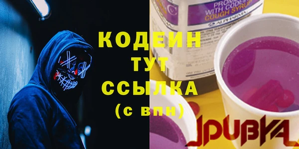 мдпв Верея