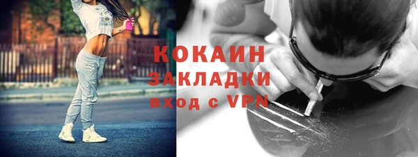 сатива Верхний Тагил