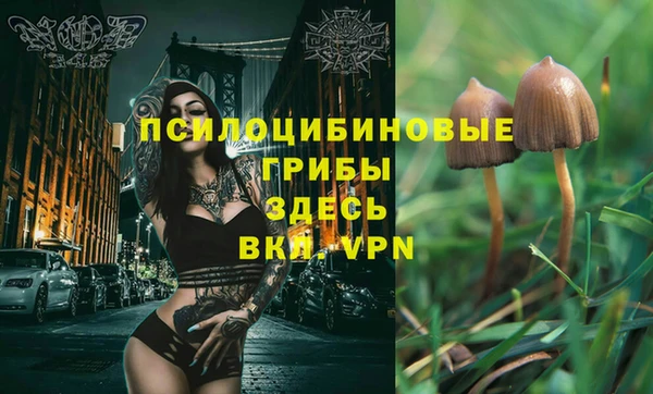 мдпв Верея