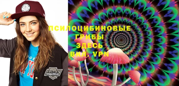 сатива Верхний Тагил