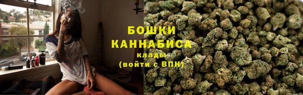 мдпв Верея