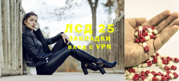 сатива Верхний Тагил