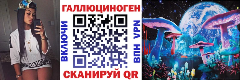 закладка Камызяк Галлюциногенные грибы прущие грибы